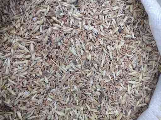 Закуповуємо відходи зернових, некондицію. Самовивіз Кропивницький