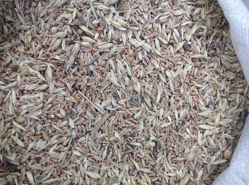 Закуповуємо відходи зернових, некондицію. Самовивіз Кропивницький - зображення 1