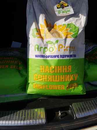 Насіння соняшнику Альдазор Любашёвка