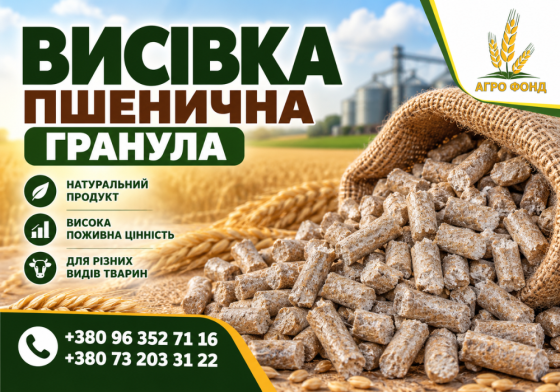 Пшенична висівка в гранулах Львов