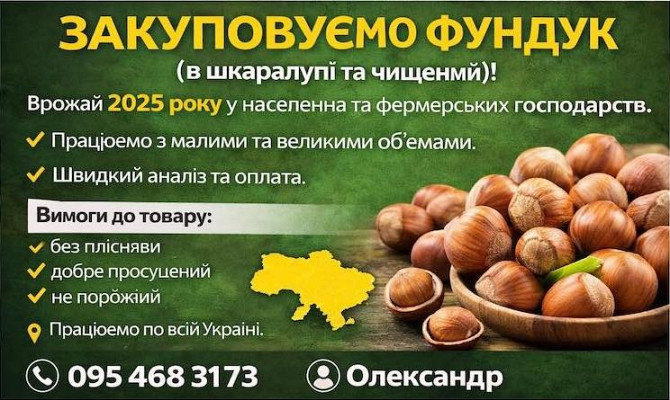 Купуємо фундук (в шкаралупі та чищений) Днепр (Днепропетровск) - изображение 1