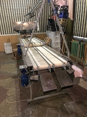 Обладнання для переробки грецького ( волоського ) горіха Знам'янка - зображення 3