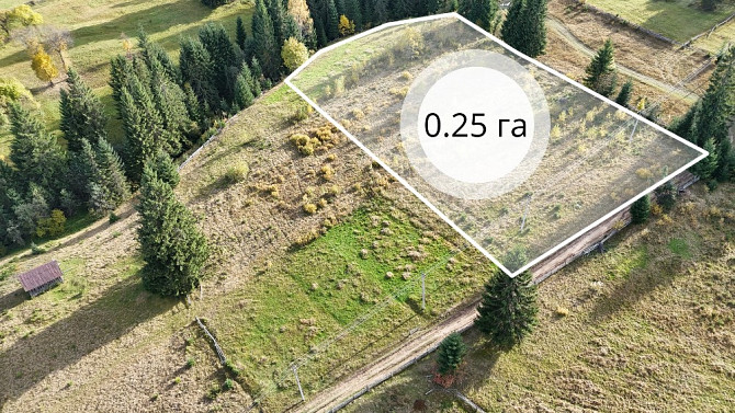 Земельна ділянка в Яблуниці 0.25 га Яремче - зображення 1