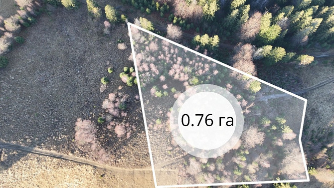 Земельна ділянка у Микуличині 0.76 га Яремче - зображення 1