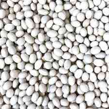 Насіння квасолі Червона Шапочка, Пінто, Неві Бінс, Ред Кідні Запорожье