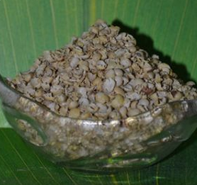 Закуповуємо соєву оболонку (лушпайку) Львів - зображення 1