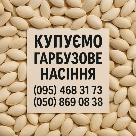 Закупка гарбузового насіння Одеса