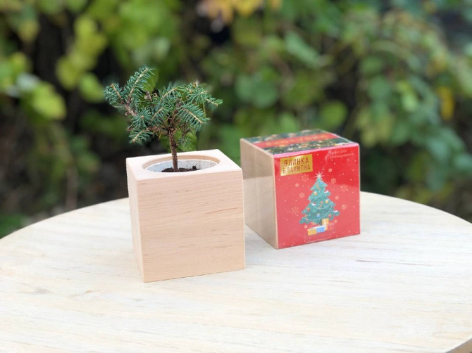 Подарунки на Миколая. Новорічні набори. DIY набори Львов - изображение 3