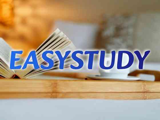 Замовити розробку стартап-проєкту до дипломної роботи в Україні Київ