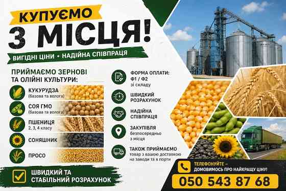 Закупівля зернових та олійних культур Киев
