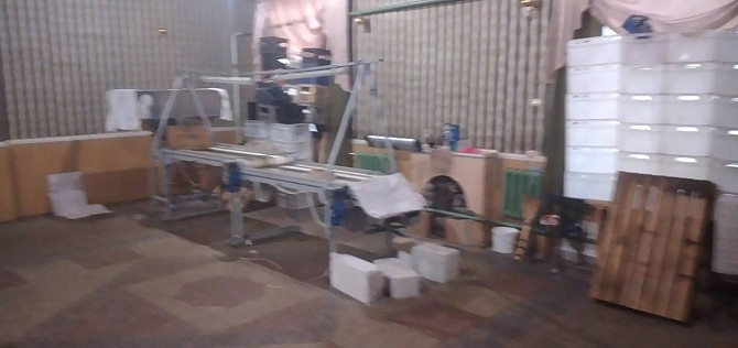 Продам оборудование для переработки грецкого ореха БУ, хорошее состояние Кропивницький - зображення 4