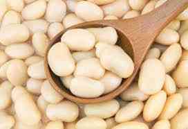 Компанія-переробник здійснює закупівлю квасолі Сумы