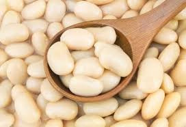 Компанія-переробник здійснює закупівлю квасолі Сумы - изображение 1