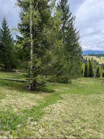 Земельна ділянка в Яблуниці 0.42 га Яремче