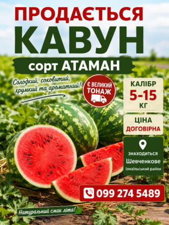 Продам кавун Кілія