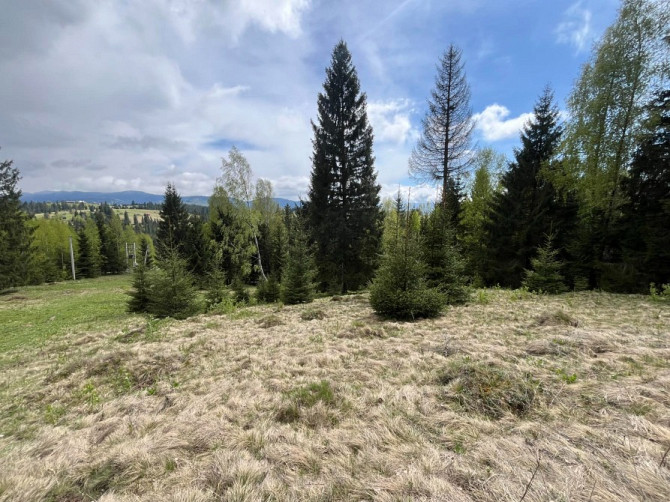 Земельна ділянка в Яблуниці 0.42 га Яремче - зображення 3