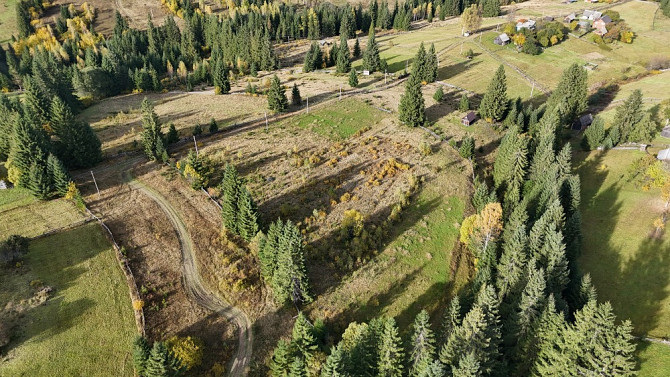 Земельна ділянка в Яблуниці 0.51 га Яремче - зображення 3