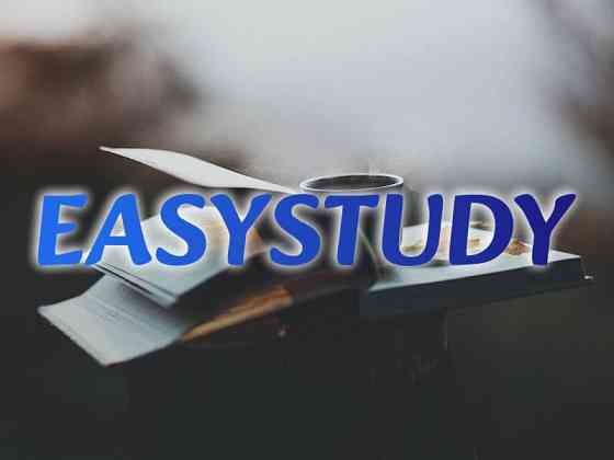 Замовити розробку стартап-проєкту до бакалаврської роботи в Україні Київ