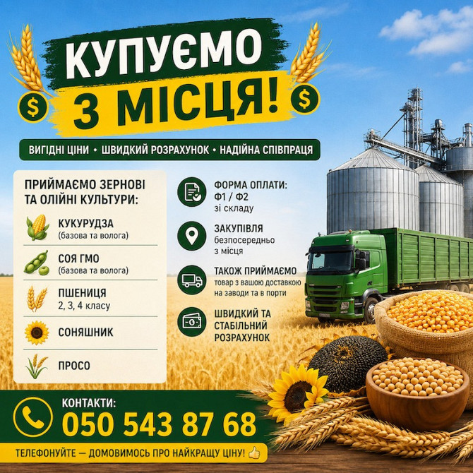 Купуємо зернові та олійні культури Київ - зображення 1