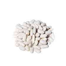 Купуємо квасолю. Від 10 тон. Приймаємо різні сорти Киев