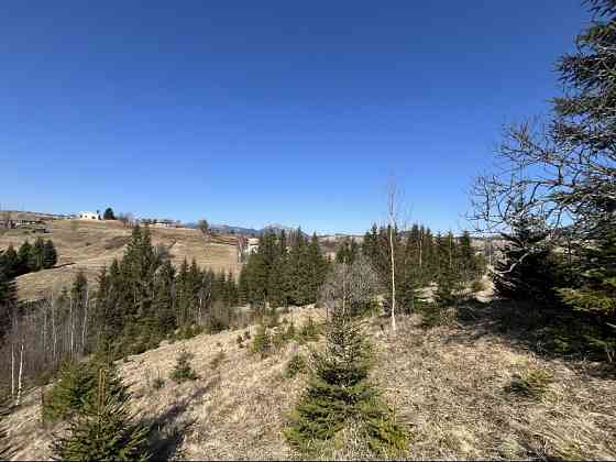 Земельна ділянка в Яблуниці 0.25 га Яремче