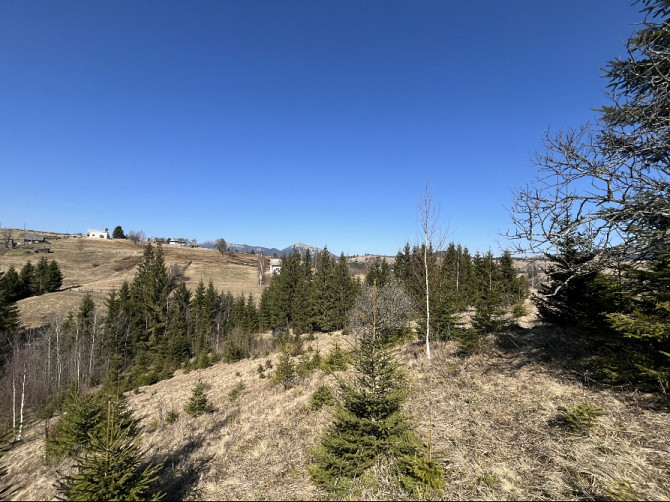 Земельна ділянка в Яблуниці 0.25 га Яремче - зображення 2