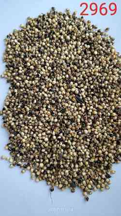 Продам сорго біле, червоне - 750т., с/г виробник. Київ