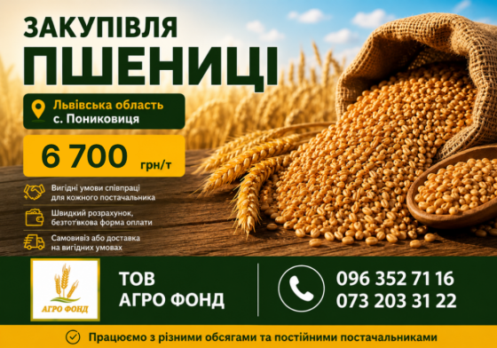 КУПЛЮ Фуражну пшеницю на склад (білок 10+) Львів