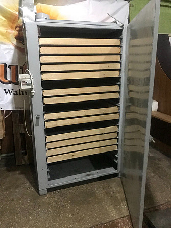 Обладнання для переробки грецького ( волоського ) горіха Знам'янка - зображення 6