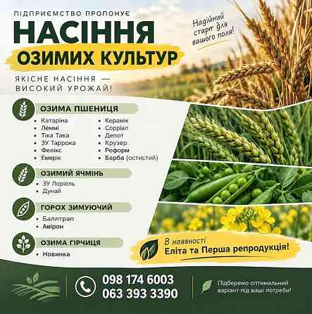 Продаж насіння озимих: пшениця, ячмінь, горох, гірчиця Черновцы