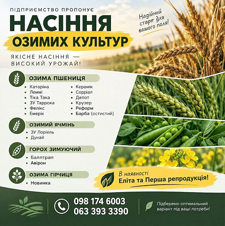 Продаж насіння озимих: пшениця, ячмінь, горох, гірчиця Черновцы - изображение 1