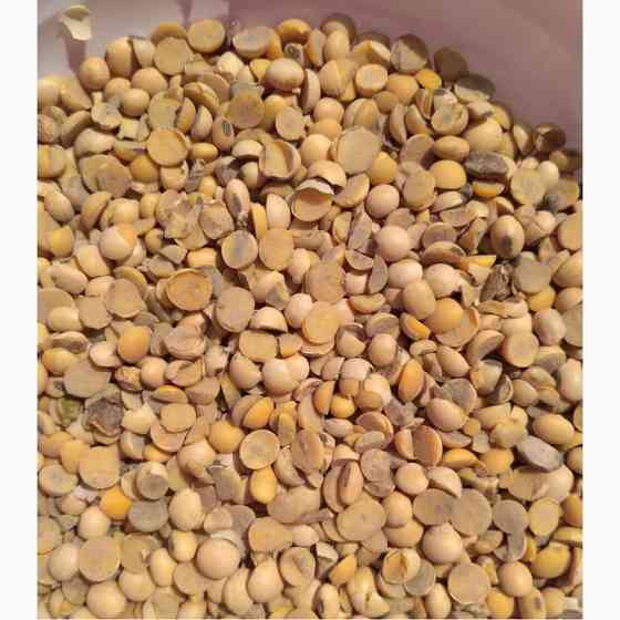 Закуповуємо половинки сої по Україні Одеса