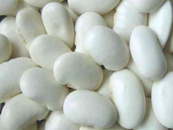 Сортова квасоля в асортименті Харків