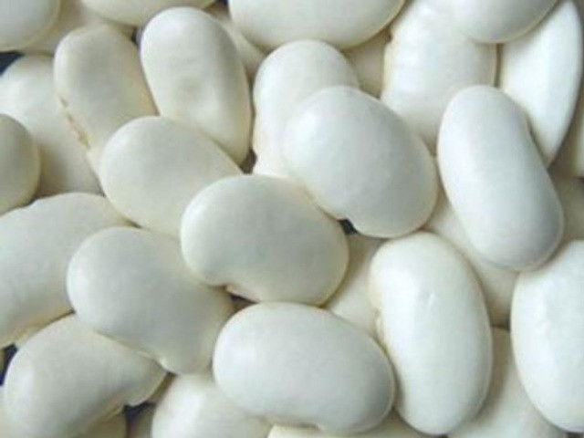 Сортова квасоля в асортименті Харків - зображення 1