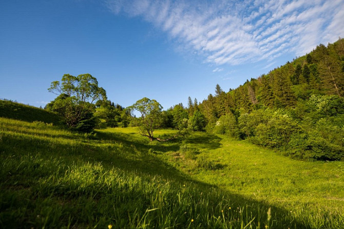 Земельна ділянка в Микуличині 1.40 га Яремче - зображення 7