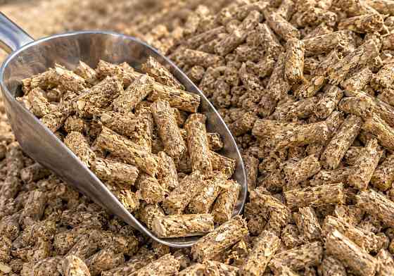 Wholesale agro fuel pellets made from cereal waste Львов