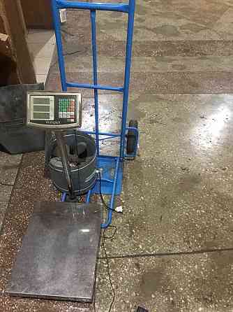 Продам обладнання для переробки грецького ( волоського ) горіха Знаменка