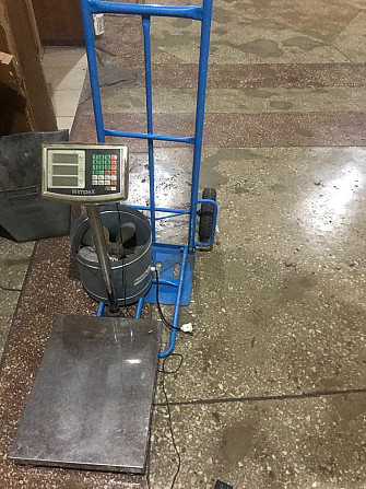 Продам обладнання для переробки грецького ( волоського ) горіха Знаменка - изображение 5