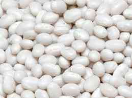 Закупка квасолі. Приймаємо різні сорти на переробку Полтава