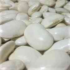 Купуємо квасолю білу та кольорову. Заберемо своїм транспортом Запоріжжя