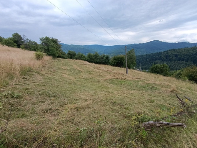 Земельна ділянка в Яремчі 0.12 га Яремче - зображення 8