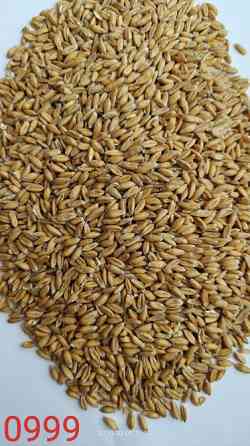 Продам спельту обрушену лущену (лат. Triticum spelta, полба)- 700т. Рівне