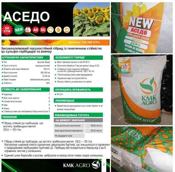 Насіння соняшника Аседо під Гранстар високоолеїновий фракція Екстра Кропивницкий (Кировоград)