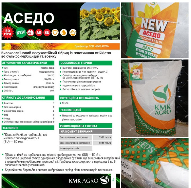 Насіння соняшника Аседо під Гранстар високоолеїновий фракція Екстра Кропивницкий (Кировоград) - изображение 1