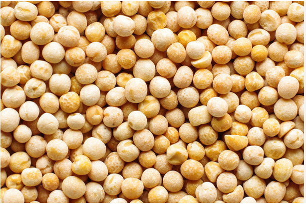 ТОВ "Агро Фонд" закуповує жовтий горох гуртом Львів - зображення 1