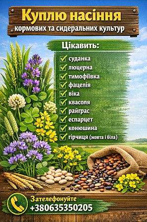 Куплю насіння кормових та сидеральних культур Киев - изображение 1