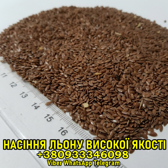 Оптовий продаж насіння льону — коричневого та золотого кольору Харьков