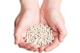 Насіння квасолі. Форвардні контракти. Гарантований викуп врожаю. Луцк