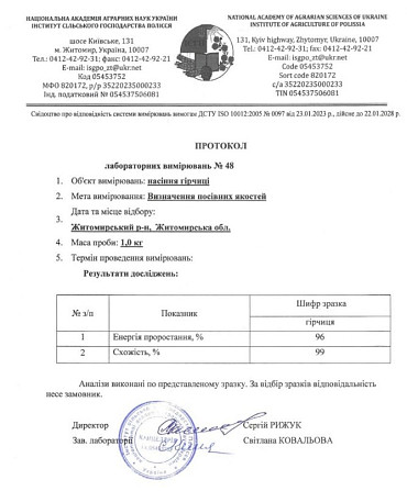 Насіння гірчиці білої для сидерату Житомир - изображение 2