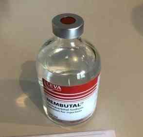 nembutal pills for sale online, Київ